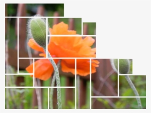 Image Inside Compound Path Frame - Single Photo Multiple Frames #2701978