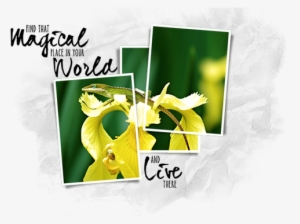 As You Can See, This Technique Can Be Used In A Variety - Photograph #2702008