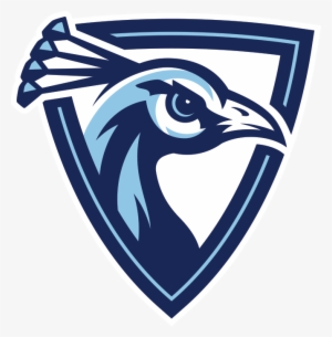 Amanda - Upper Iowa University Lacrosse #2702499