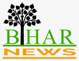 Bn Final - Tree With Roots Silhouette Png #2702601