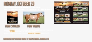 Black Hereford Ranch #2702807 Black Hereford Ranch #2702807