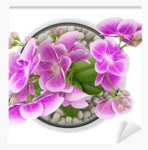 Top View Of Purple Orchid Flower In Glass Vase Isolated - Flower Top View Png #2703485