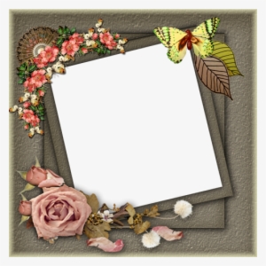 Frame Png,frame Png Pictures,frame Png Floral - Frames #2703767