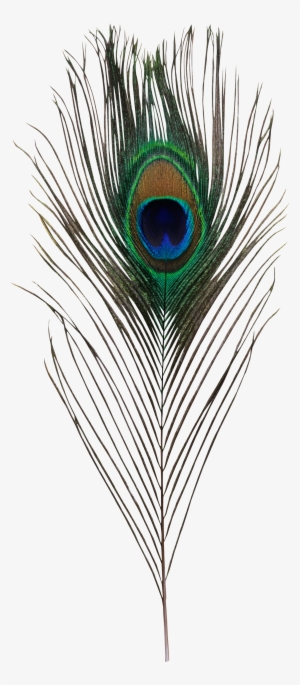 Find This Pin And More On Клипарт By Nadshmidt #2704433