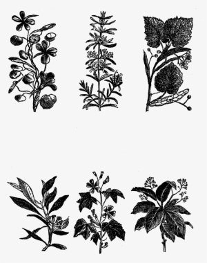 Digital Stamp Design - Illustration #2705641