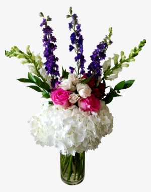 Hello Beautiful #2706849