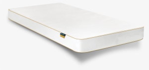 Felicity Cot Mattress - Dd Jump Guard #2708258