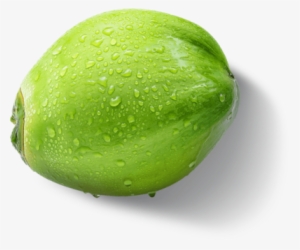 Health Benefits - Tender Coconut Png #2708939