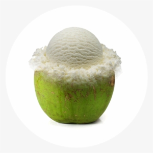 Tender Coconut - Bánh Bò #2709081