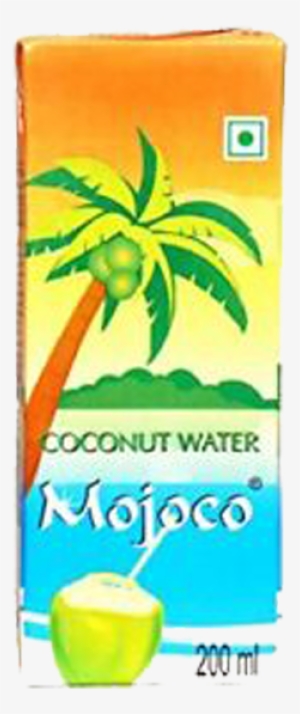Mojoco Tender Coconut Water - Coconut Water #2709104