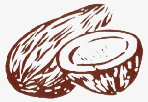 Coconut Clipart Election Symbol - Indian Election Symbols Coconut #2709478