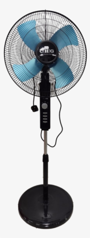 More Views - Inch #2710613