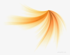 2nd July - Turuncu Süsler Png #2712005