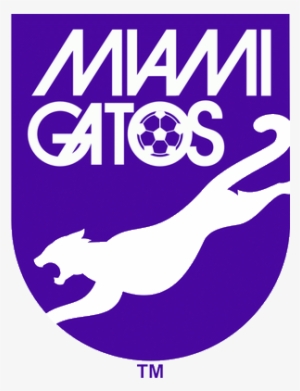 Miami Gatos Logo - Miami Gatos #2712713