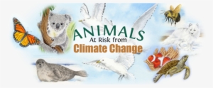 Animals At Risk From Climate Change Poster - Climate Change And Wildlife #2713348