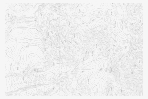 Money Doesn't Buy Happiness, But We've Never Seen A - Lace #2716573