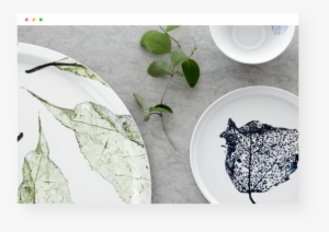 Canoe Birch #2716793