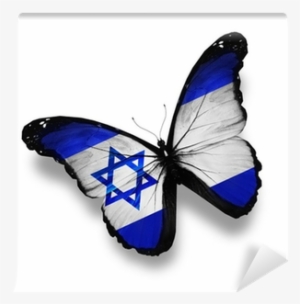 Israeli Flag Butterfly, Isolated On White Wall Mural #2717407