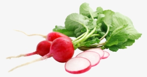 Cherry-belle Radish (50 Seeds) #2717890