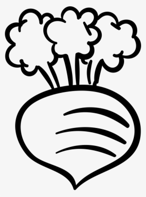 Gardening Radish Comments - Black And White Radish #2718051