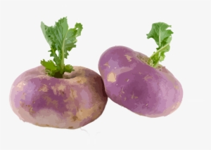 Turnip-2 - Turnip Png #2718189