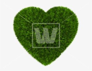 Png Grass Heart - Heart #2718258 Png Grass Heart - Heart #2718258