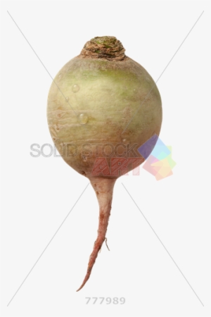 Vegetables Cut In Half #2718351