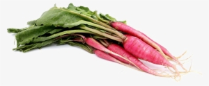 Radish Png Image - Information #2718640