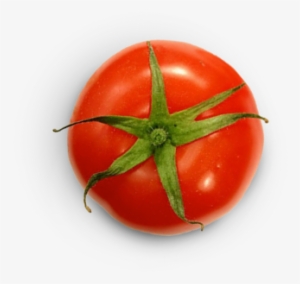 Chihuahuas Michelada - Michelada #2719596