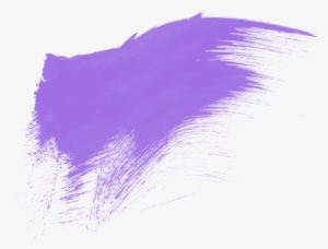 Shop Now - Violet #2720155