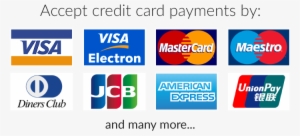 Accept Credit Cards Visa Mastercard Maestro And Many #2720938