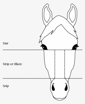 Horse & Pony Face Markings - Horse #2721117