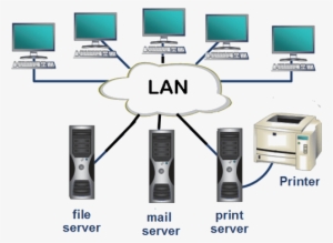 Related Image - Types Of Networks Lan Wan Man #2722039