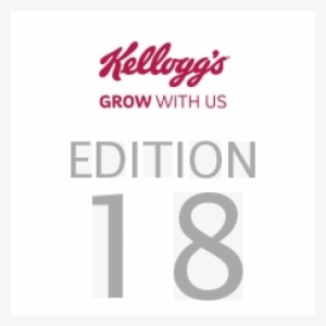 Kellogg's Nutri Grain Elevenses Chocolate Chip Bakes #2722043