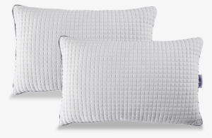 Set Of Two Bob O Pedic Classic Pillows - Set Of Two #2722728