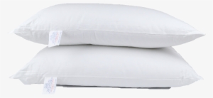 Throw Pillow #2722862 Throw Pillow #2722862