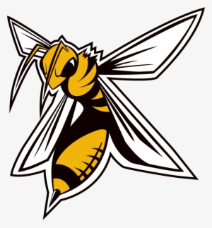 Comite Contact Archives - Hornets La Chaux De Fonds #2723025