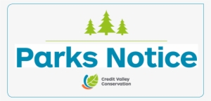 For Q's Call 905 615 - Park Jockey #2723245