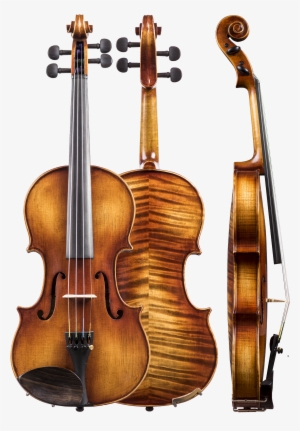 Intermediate Violins #2723303