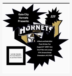 Gate City Hornets Gala - Chemiluminescence Reaction #2723325