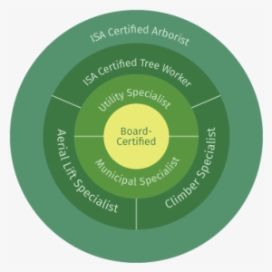Career Path - Circle #2723350 Career Path - Circle #2723350