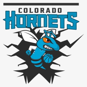 Colorado Hornets Athletics Youth Organization - Colorado Hornets #2723405