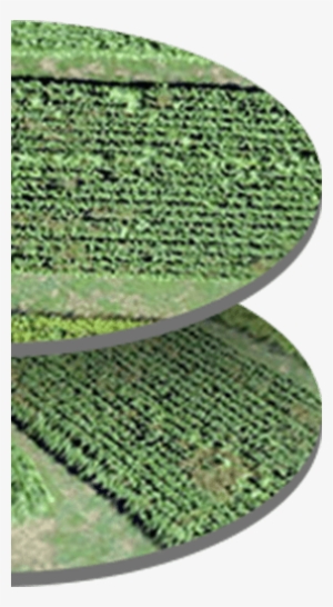 Visual Sensor - Visual Sensor Network #2723574