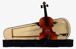 Cv 100 Case - Curriculum Vitae #2723764