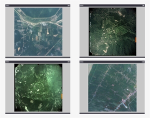 Aerialphoto - Conifer #2723871