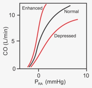 Cardiac Function Curves - Vascular Function Curve #2724543