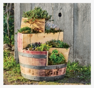 Recycled Wine Barrel Planter - Grass #2724945