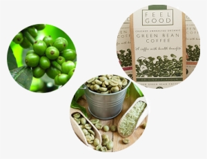 Green Bean Coffee From Tree To Packaging Picture - Green Coffee Beans Banner #2725010