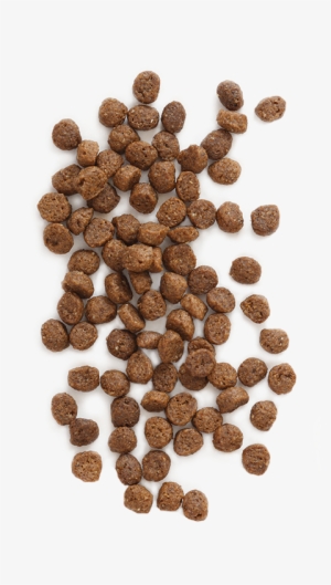 Puppy Vantage™ Is 100% Guaranteed For Taste And Nutrition #2726101