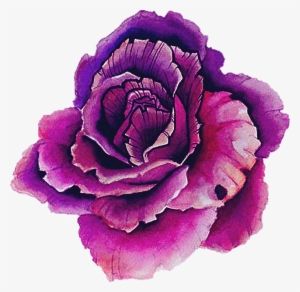 Presiosa Tumblr Acuarelas Lindo - Hipster Stickers #2726679